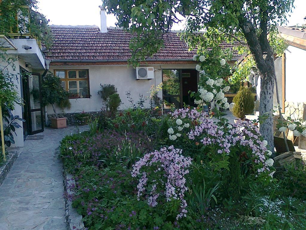 Family Hotel Belvedere Dŭlgopol Exteriör bild